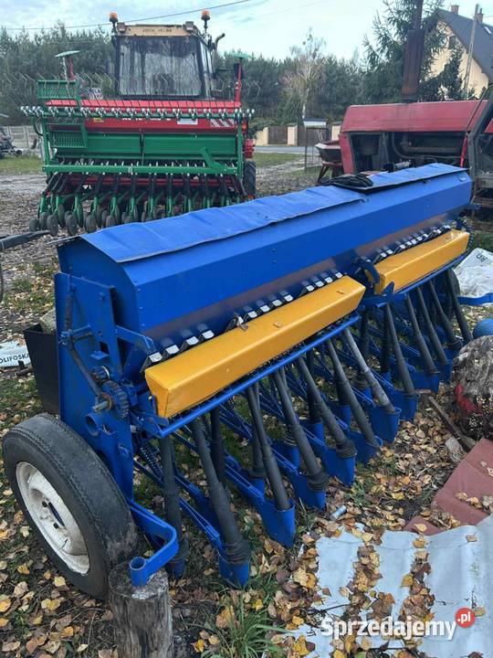 Siewnik poznaniak Sieradz