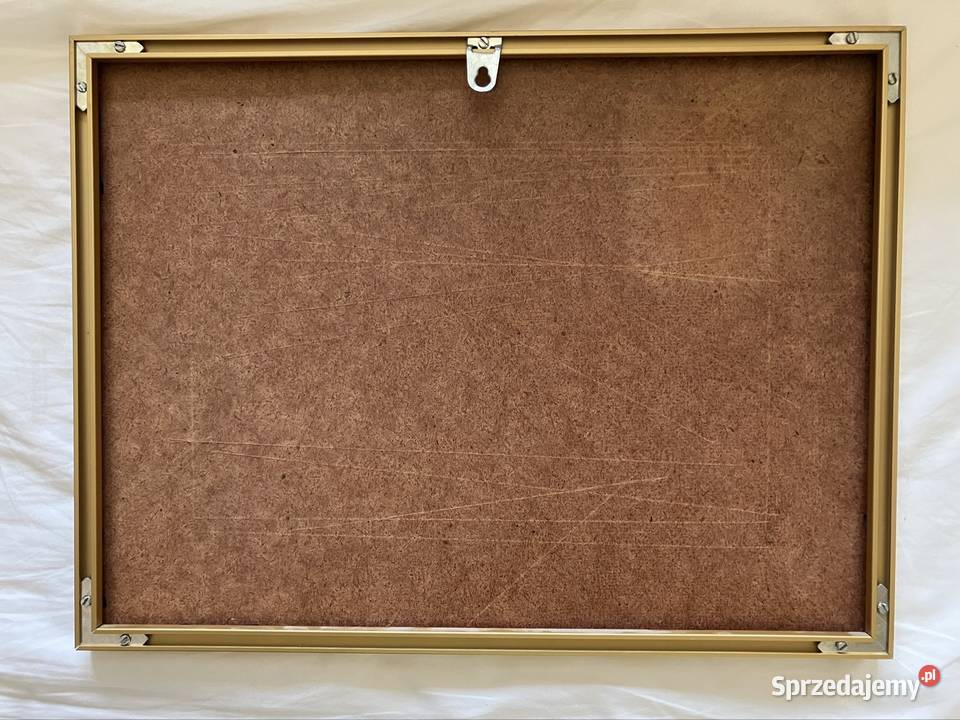 Akwarela Kazimierz Dolny lubelskie Lublin