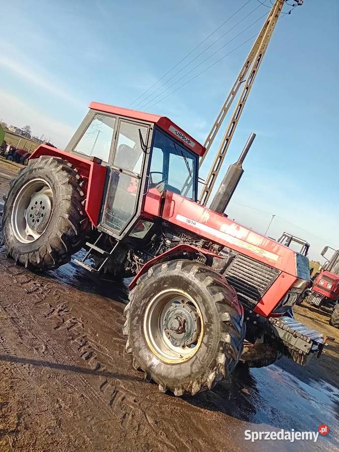 Ursus 1614 Brodnica sprzedam