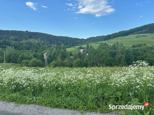 Działka budowlana Baligród na sprzedaż