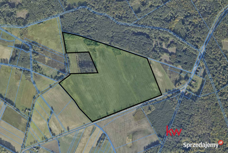 sprzedaży gruntu 225700m2 Rogalice 225700m2 sprzedam