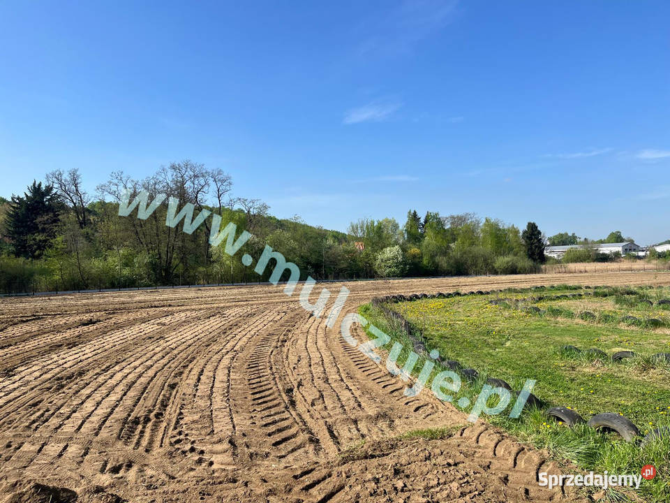 Karczowanie Mulczowanie wgłębne Kraków