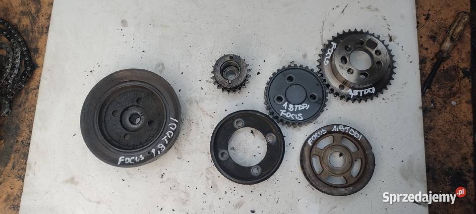 FORD FOCUS MK1 18TDDI koło rozrządu pasowe wału Rozrząd świętokrzyskie sprzedam