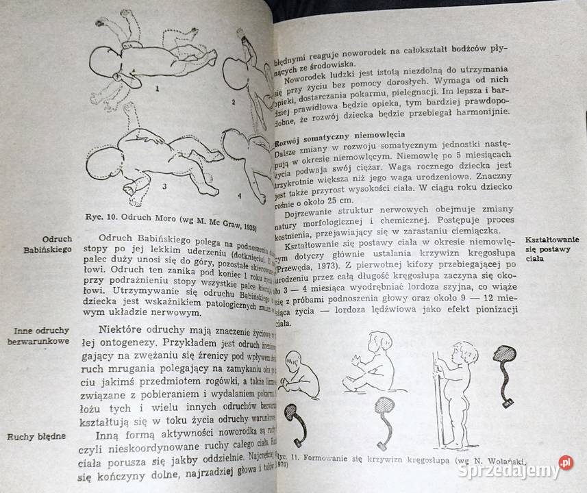Psychologia rozwojowa M Przetacznik G Rok wydania 1985 lubelskie