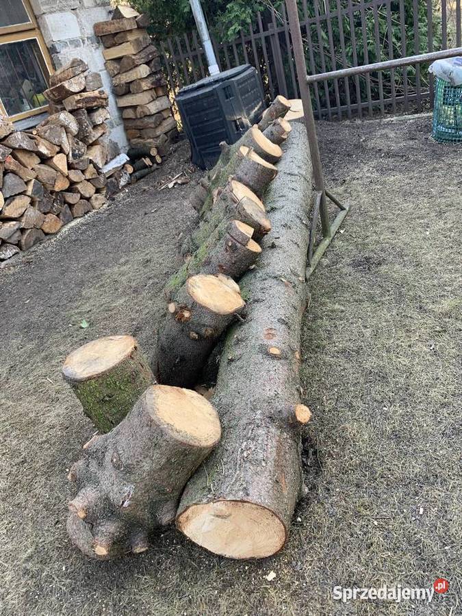 Kłoda świerkowa gruba Dom i Ogród Białystok