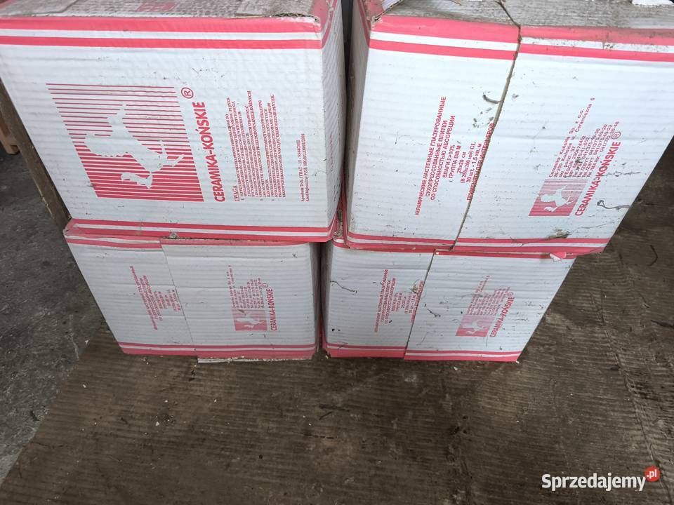 Płytka ścienna Ceramika Końskie Kinga 20x25 Siemianówka