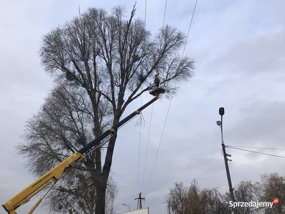 Wycinka drzew rozdrabnianie gałęzi mulczer Korczyn