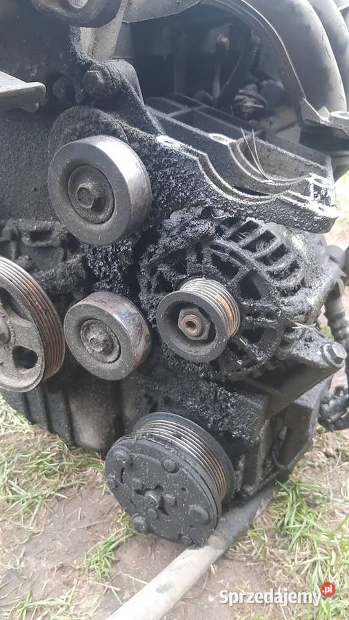 silnik kompletny ford fiesta 13 A9JB 192 Motoryzacja Dębno
