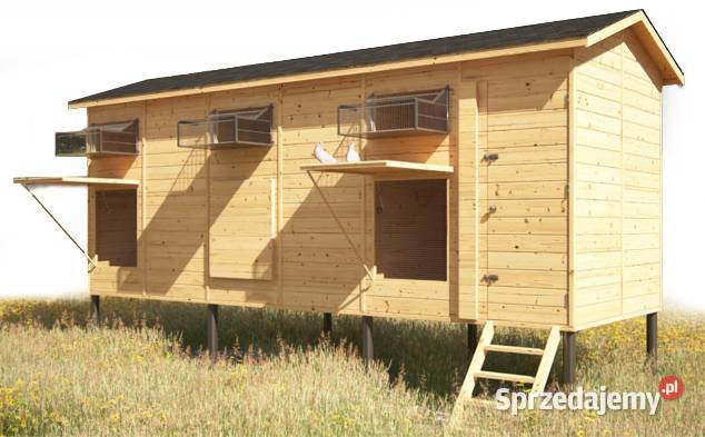 GOŁĘBNIK WOLNOSTOJĄCY 300x600 20mm SOLIDNA warmińsko-mazurskie Olsztyn