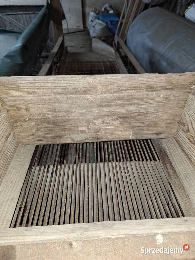 Sortownik do ziemniaków kartofli Słupca