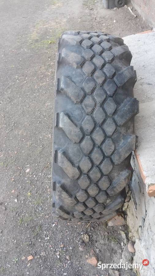 Opona 12520 wielkopolskie Kolonia Kokanin