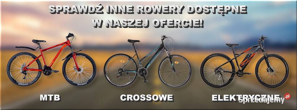 Rower Elektryczny Miejski Damski Męski 26 LitJon Skawina