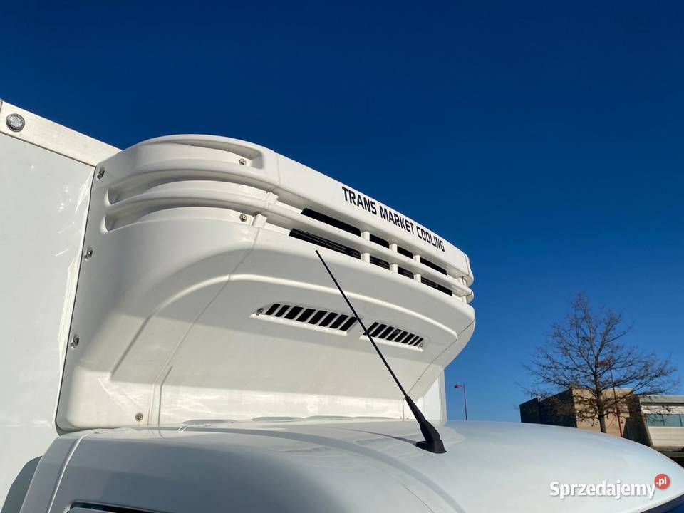 RENAULT Master III 23 DCI 145 chłodnia Katowice