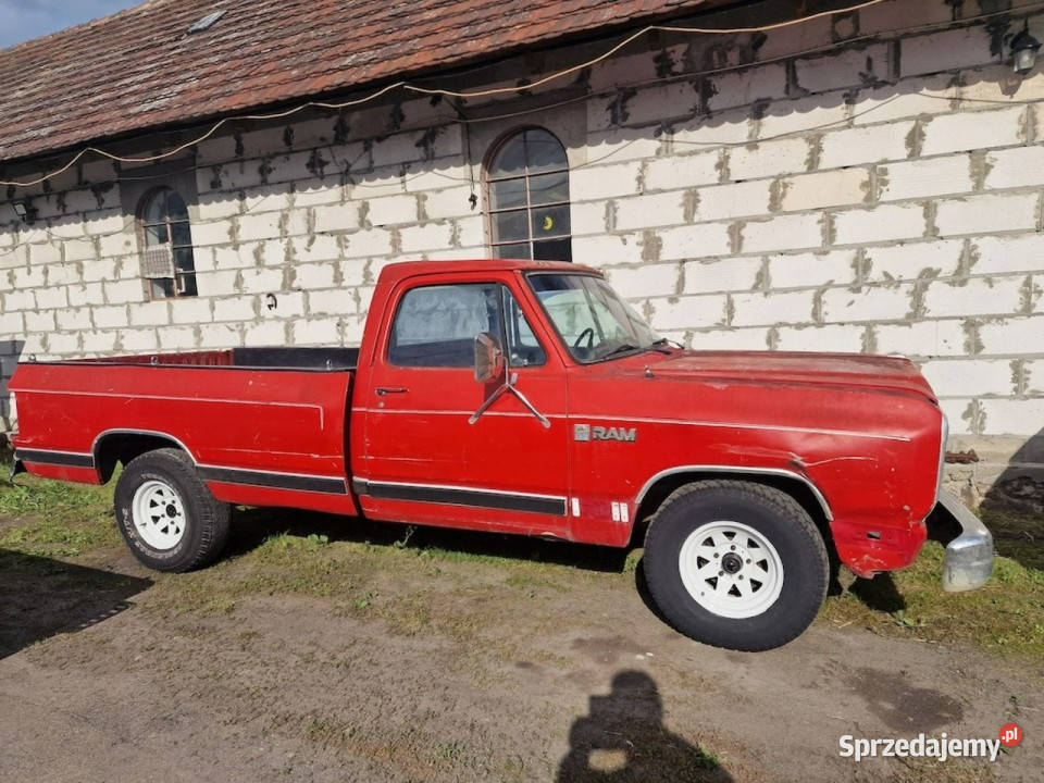 Dodge RAM Dodge Ram D100 Rocznik 1987 Silnik 318 lubuskie Sulechów
