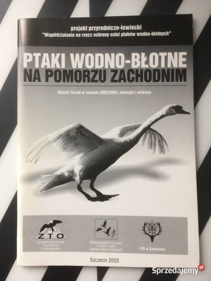 3683 Ptaki WodnoBłotne Na Pomorzu Zachodnim Szczecin