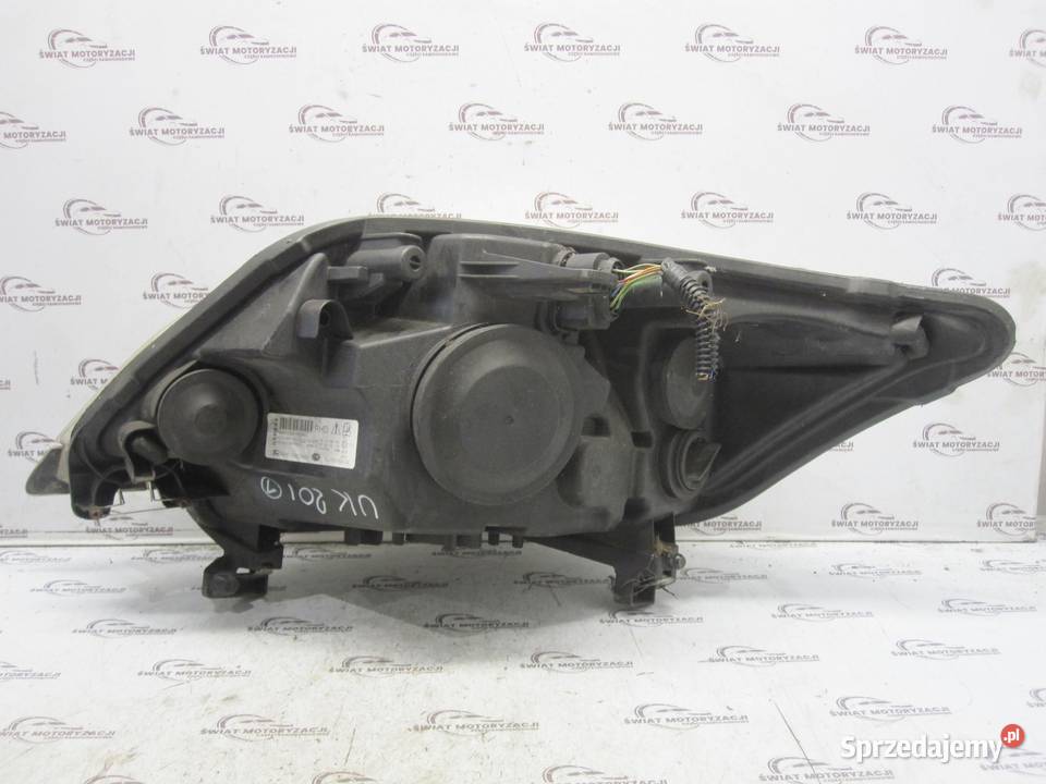 Ford Kuga I 10r Lampa prawa przód ANGLIK świętokrzyskie Kielce