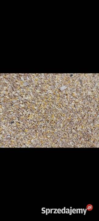 Kukurydza gnieciona pasza kur wysyłka Szerzyny sprzedam