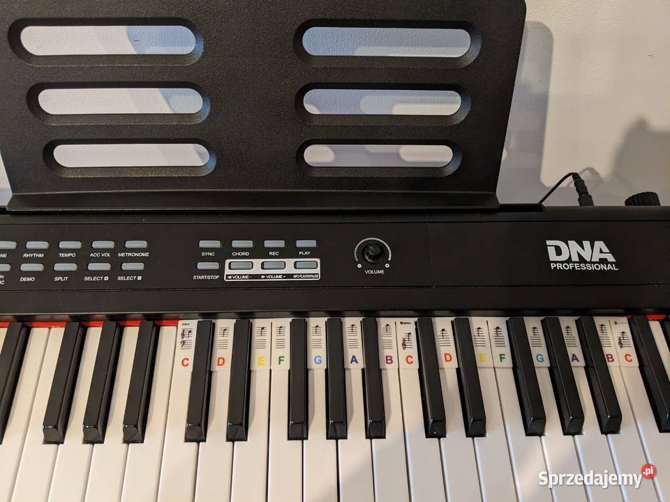 Keyboard DNA PP 88 Słupsk