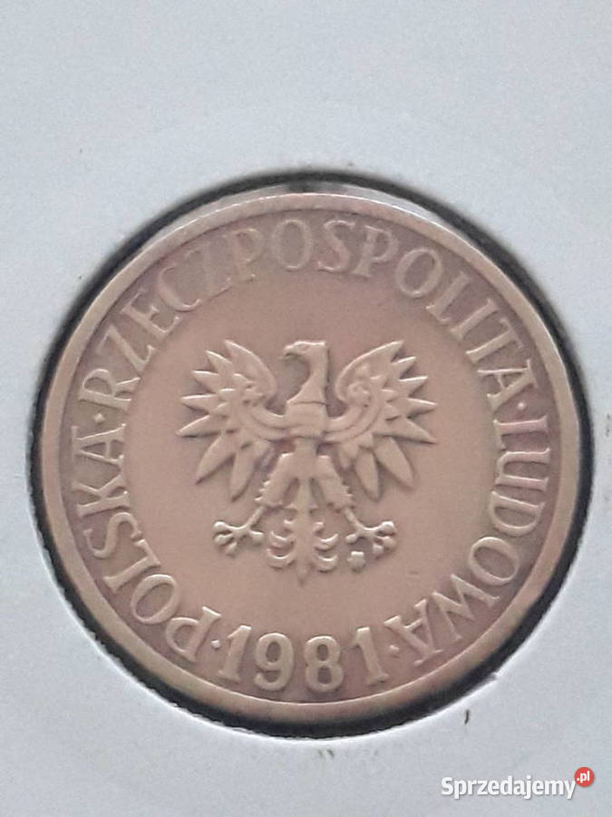 5 Złotych 1981 r najniższy nakład sprzedam