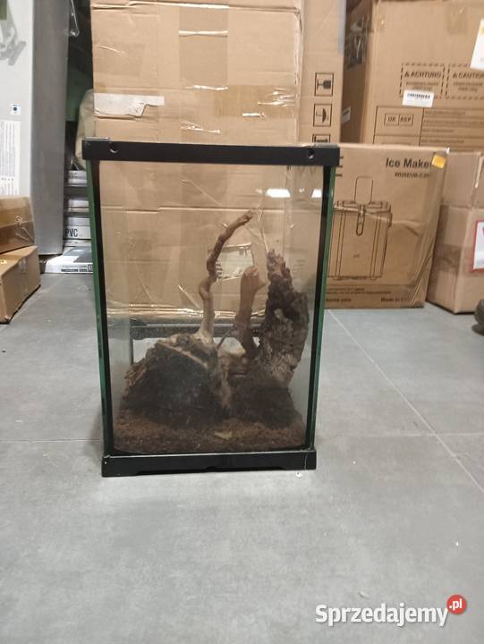 Terrarium firmy ReptiZoo Przygłów