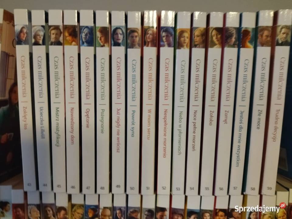 Saga Czas milczenia bez tomu 41 Czernica