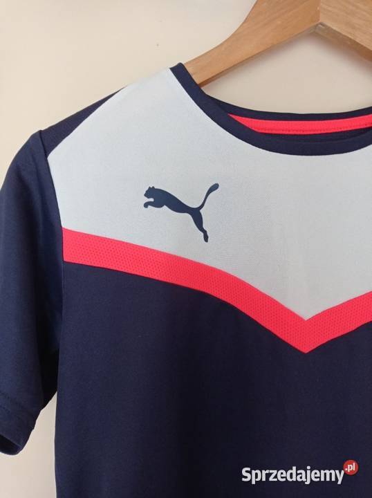 Granatowy tshirt niebieski podlaskie Hajnówka