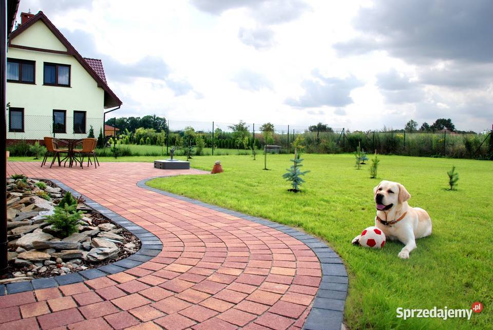 Kostka brukowa betonowa Sudecka gr 4 i 6 Świdnica