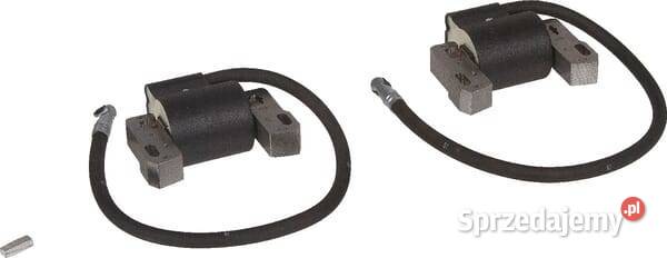 Cewka zapłonowa Briggs Stratton 843860WM Kamionna