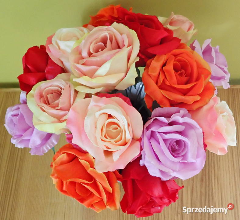 Róże rozwinięte różne kolory 1 śred 11 LA641 Siewierz