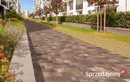 Kostka brukowa Wena Bruk Czyżowice BESTSELLER Czeladź