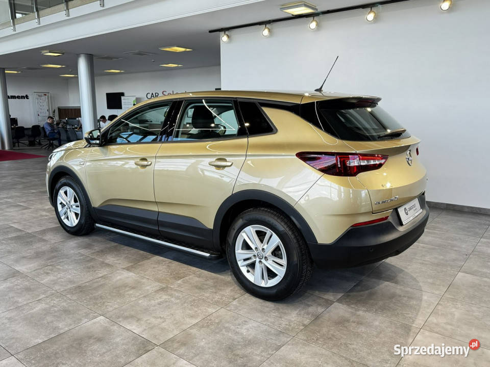 Opel Grandland X 12Turbo 130 M6 20182019 r salon benzyna Myślenice