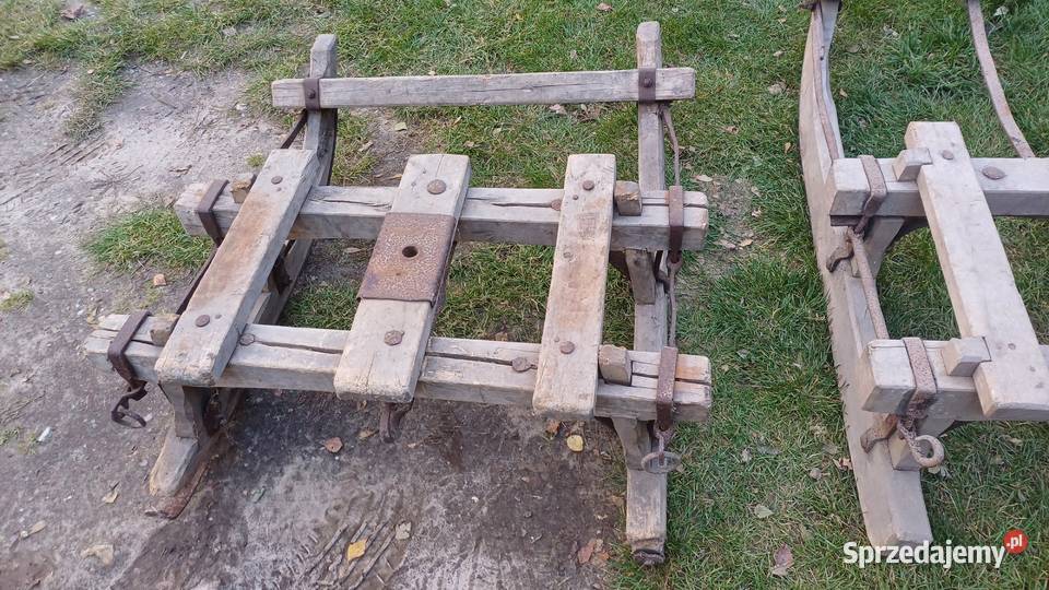 Sannie konne świętokrzyskie Belno