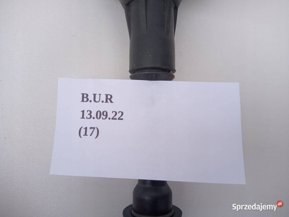 CEWKA ZAPŁONOWA NISSAN MURANO Z50 ALTIMA L31 wielkopolskie