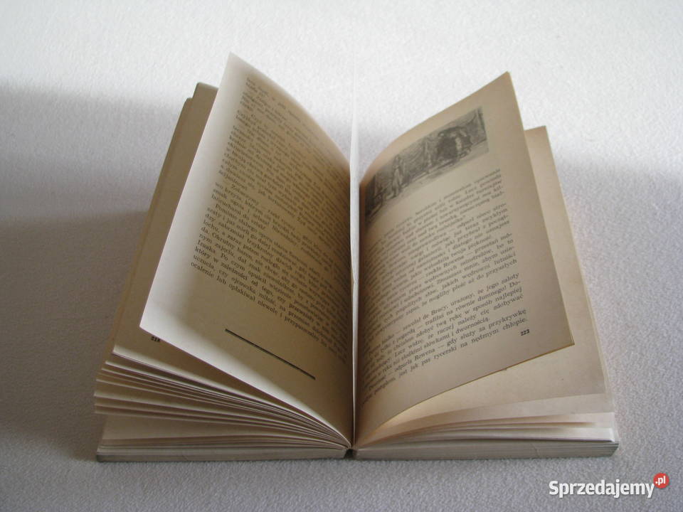 Ivanhoe Walter Scott miękka Brzegi