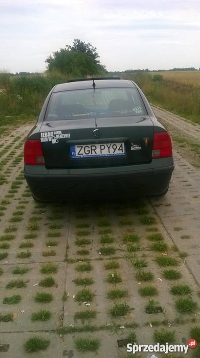 Passat B5 19992000 garażowany Wełtyń