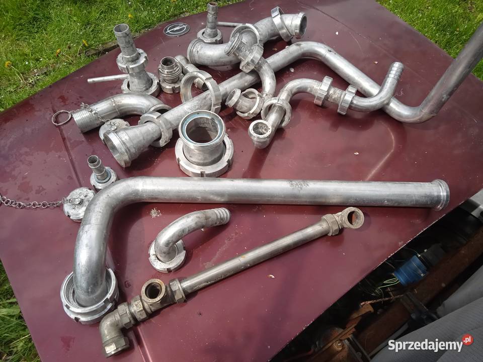 Strautki kwaso odporne łódzkie