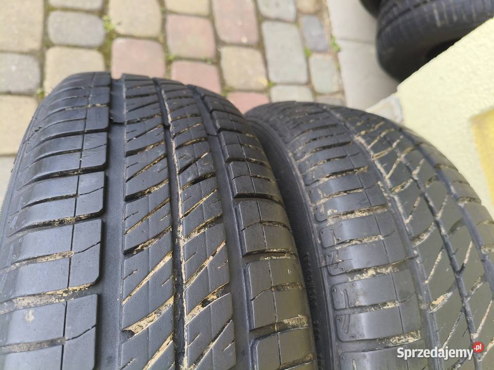 Opony 1756514 R14 SAVA perfecta Całoroczne 175 Rzeszów