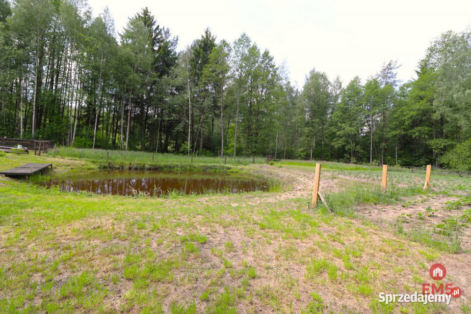 sprzedaży działki 2761m2 Płaska