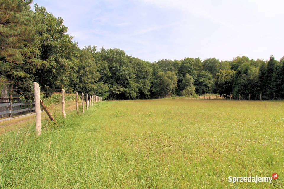 Działka na sprzedaż Mikołów Bujaków 1024 m śląskie
