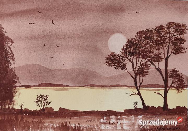 Akwarela Akwarelka Obraz pt Cisza którą przerywa sprzedam