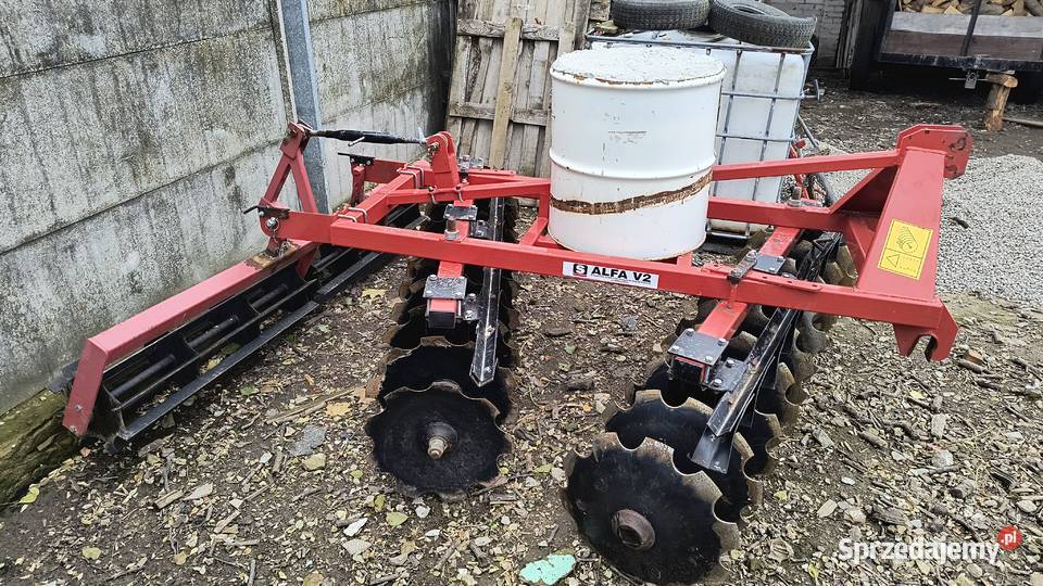 Talerzówka Rosochy sprzedam