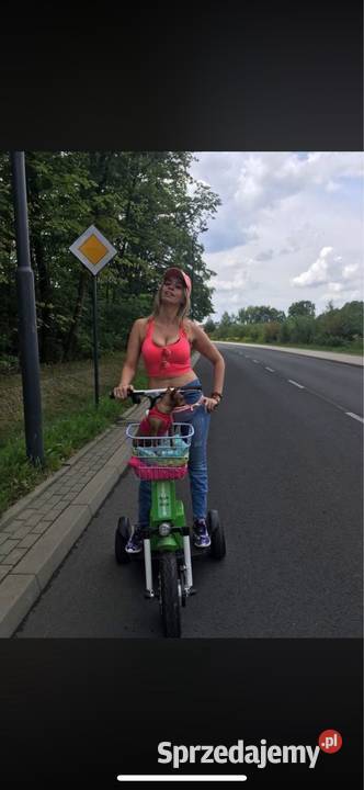 Pojazd trojkowolowy segway Aleksandrów Łódzki