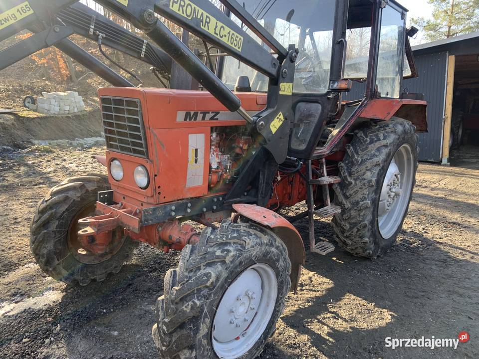 Mtz82 z turem podkarpackie Domaradz