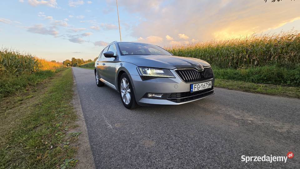 Skoda Superb 20 TDI DSG LaurinKlememt Rok produkcji 2016 Gorzów Wielkopolski