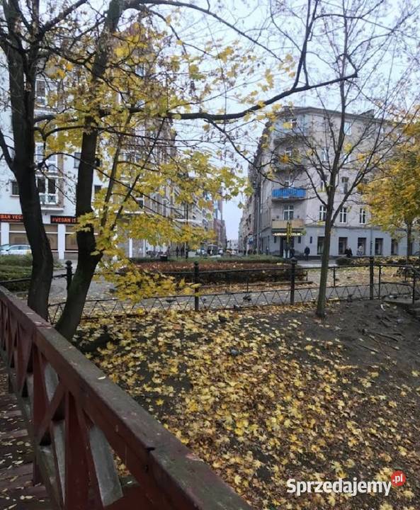 2pok 98met Podwale PIWNICA Wrocław