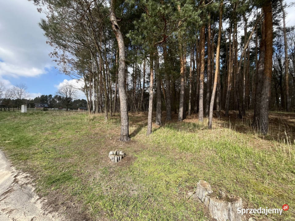 działka 2618 m2 w OblasachKsiężę lubelskie Oblasy