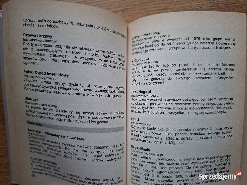 Przewodnik stronach internetowych Poradniki, albumy i reportaże Kraków