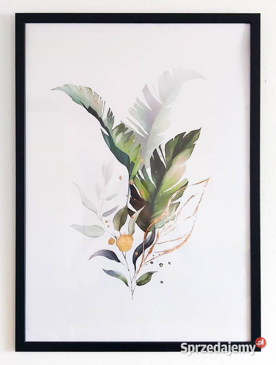 Plakat rośliny liście palmy botaniczny 50x70 Plakaty Kraków