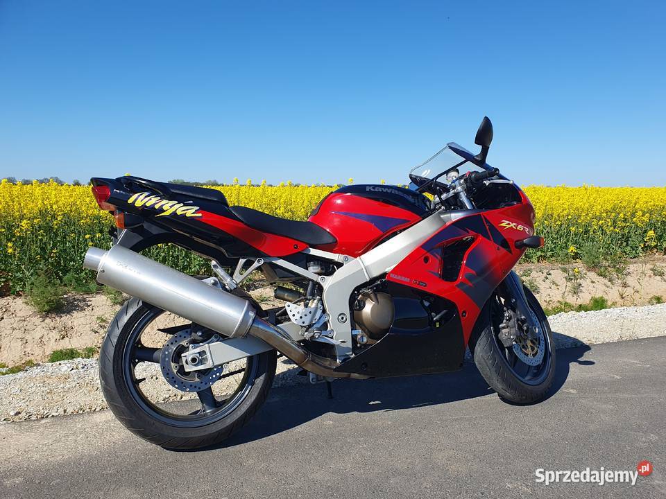 Kawasaki ninja ZX6R 1998 F3 600 Sport 54000km dolnośląskie Legnica
