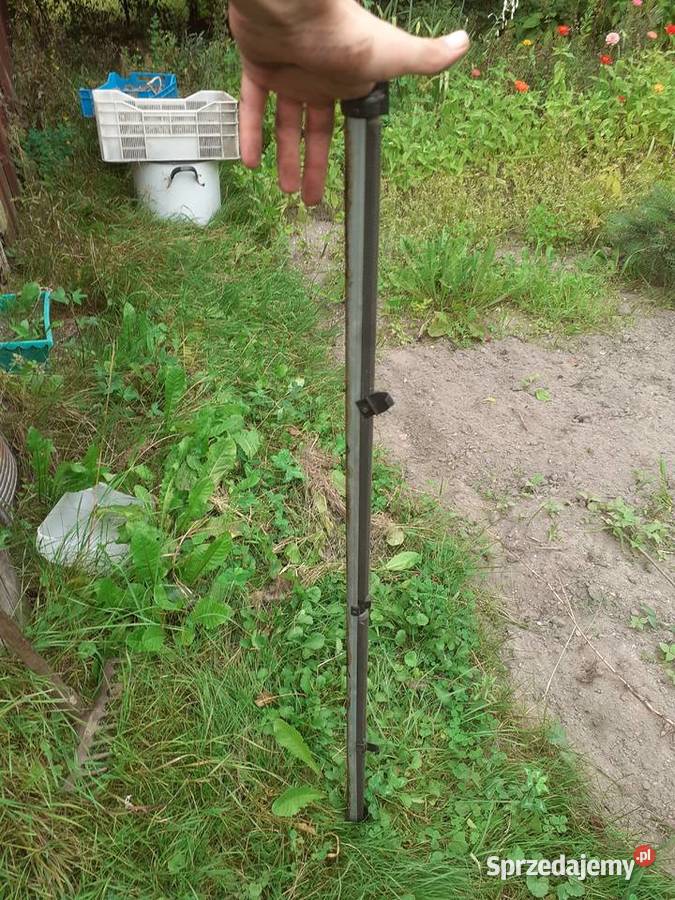 Rolety samochodowe rolety bagażnika Puchaczów